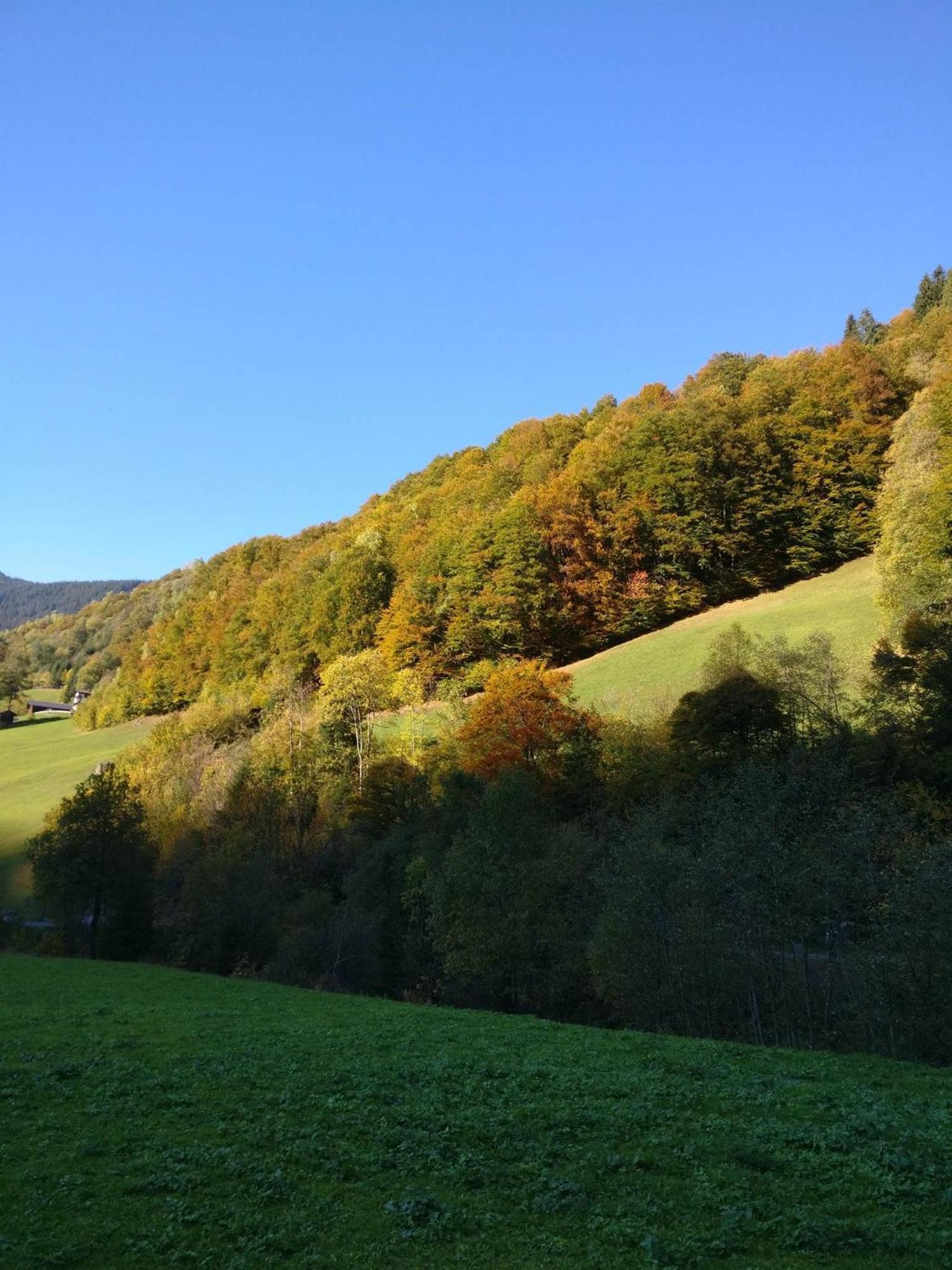 Fruehstueckspension Gweil Sankt Gallenkirch Extérieur photo